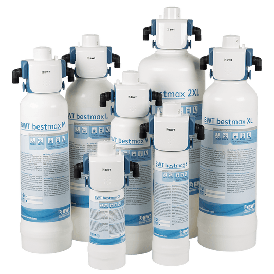 BWT BestMax filtration system